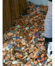 GAP | レギンス/スパッツ