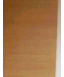 select MOCA | Tシャツ/カットソー