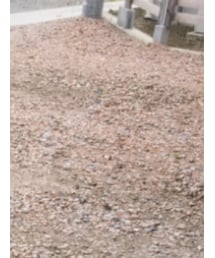 しまむら | ハット