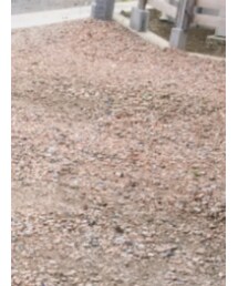 GAP | Tシャツ/カットソー