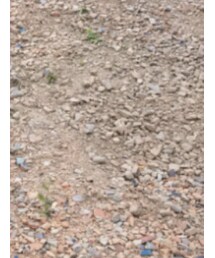 GAP | チノパンツ