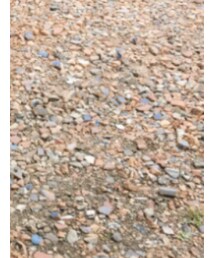 Birthday | その他パンツ