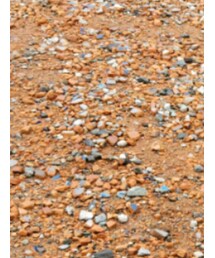 韓国子供服 | Tシャツ/カットソー