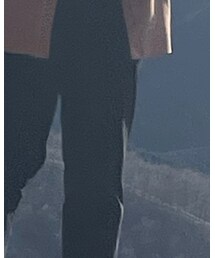 UNIQLO | スラックス
