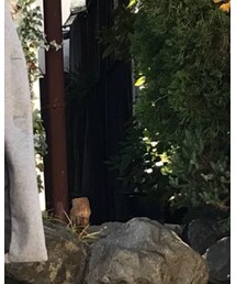 ZARA | デニムパンツ