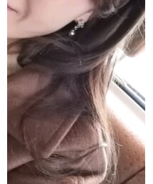 アクセサリーショップ | ピアス（両耳用）