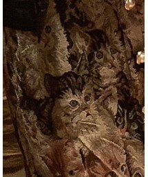 earth music&ecology | その他パンツ