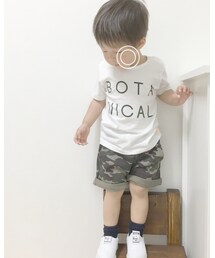 petit main | ソックス/靴下