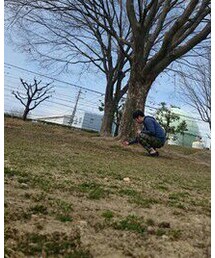 蟻の巣調査員 | その他