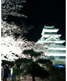 夜桜in松本城 | (その他)
