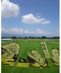 田んぼアート | その他