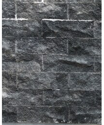 STUDIO D'ARTISAN | パンツ