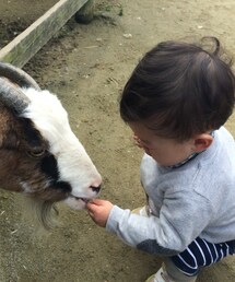 H&M | ニット/セーター