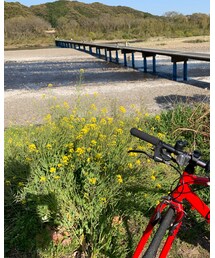 四万十川散策 | メガネ