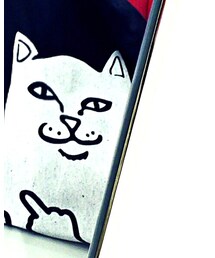 RIPNDIP | エコバッグ/サブバッグ