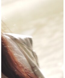 Bear'N All | Tシャツ/カットソー