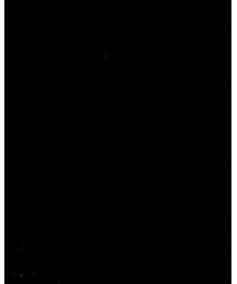 BEAR'N ALL | キャップ