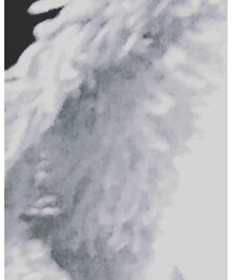 JEANASIS | その他アウター