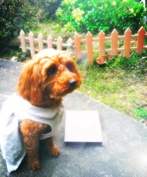 手作り | ワンピース