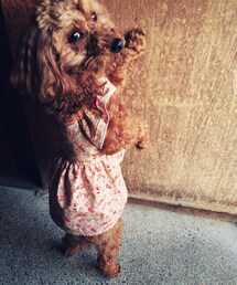 手作り | ワンピース