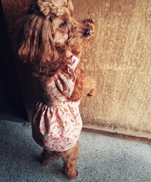 手作り | ワンピース