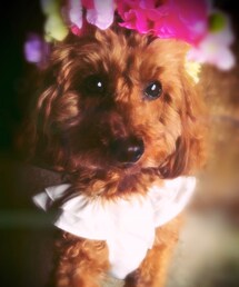 手作り | その他ヘアアクセサリー