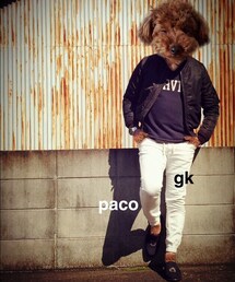 フュージョン | その他