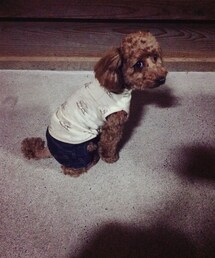 手作り | Tシャツ/カットソー