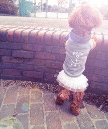 手作り | スウェット