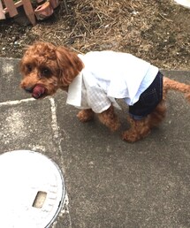 手作り | シャツ/ブラウス