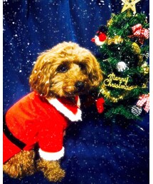 手作り | その他