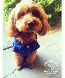 手作り | ポロシャツ