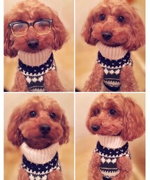 手編み | ニット/セーター