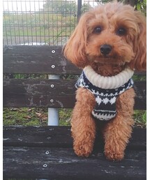 手編み | ニット/セーター