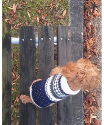 手編み | ニット/セーター