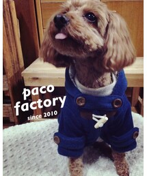 一年前のパコ | ダッフルコート