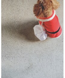 あわてんぼうのサンタクロース | その他