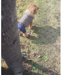 Handmade | ダウンベスト