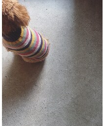 手編み | ニット/セーター