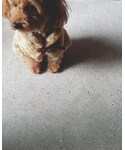 Handmade(ハンドメイド)の「ジャケット/アウター(ポンチョ)」