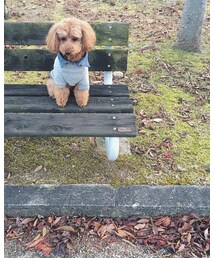 Handmade | スウェット