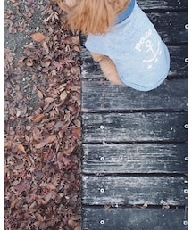 Handmade | シャツ/ブラウス