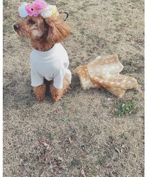 手作り | ワンピース