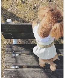 手作り | ワンピース