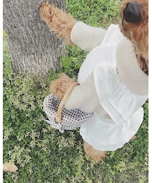 手作り | ワンピース