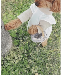 手作り | ニット/セーター