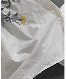 ZARA | Tシャツ/カットソー