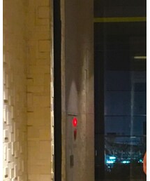 BEAUTY&YOUTH UNITED ARROWS | Tシャツ/カットソー