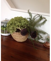 Hug o war | フラワーベース