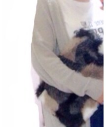 archives | カーディガン/ボレロ